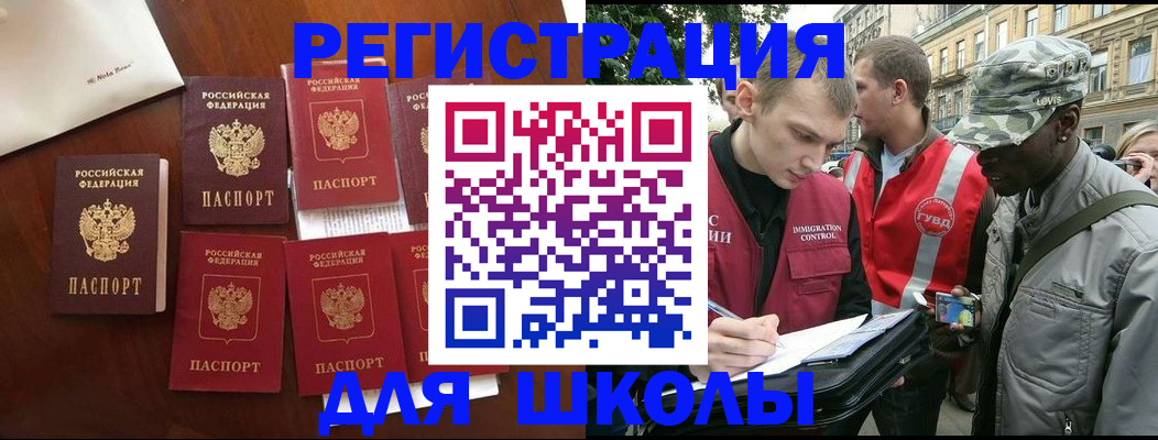 где прописаться в Ельне